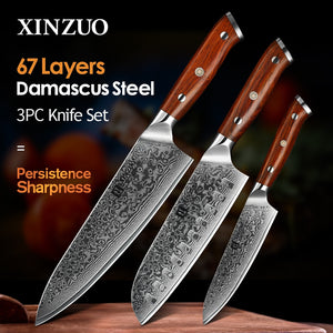 XINZUO Professional Kitchen Knife - Japanese forged Damascus Steel Chef Santoku Knives